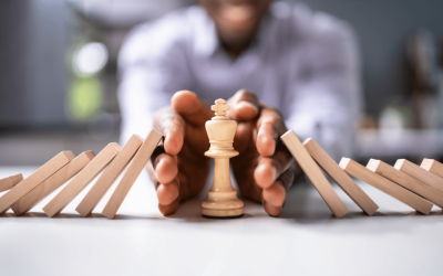 Risk Tolerance and Diversification